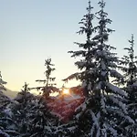 Mountain Dream By Managers * Kirchberg in Tirol