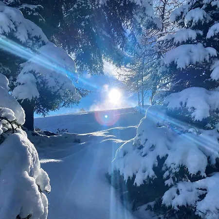 Mountain Dream By Managers *