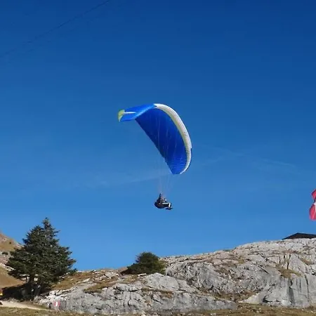 Mountain Dream By Managers