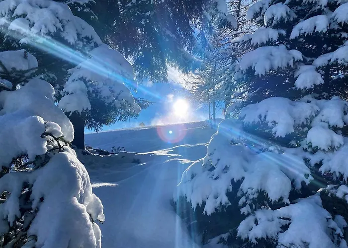 Mountain Dream By Managers *