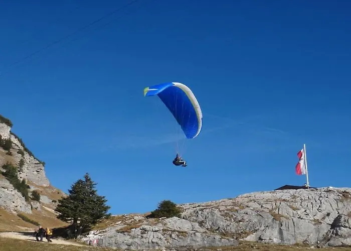 Mountain Dream By Managers