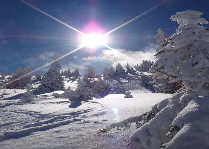 Mountain Dream By Managers Appartement *